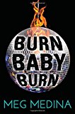 Best Multicultural Young Adult Novels: Burn Baby Burn